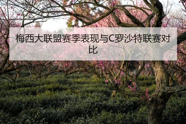 梅西大联盟赛季表现与C罗沙特联赛对比